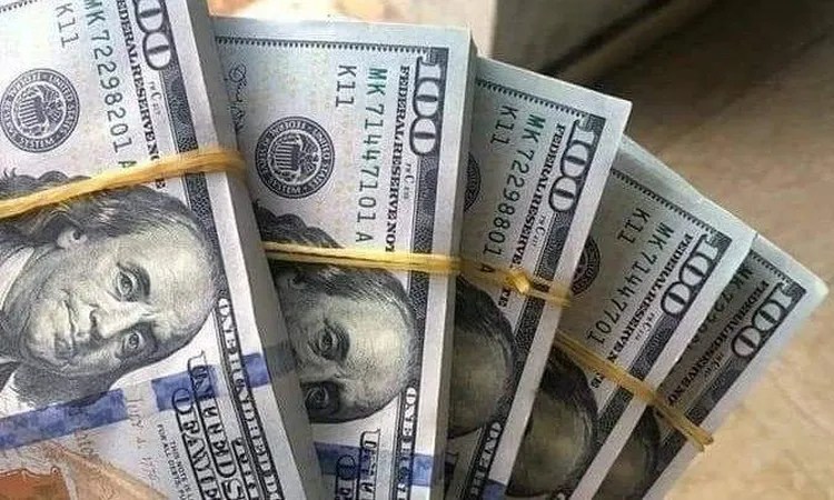 استقرار سعر الدولار أمام الجنيه