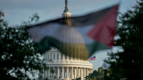 في قلب واشنطن.. العلم الفلسطيني يفرض حضوره