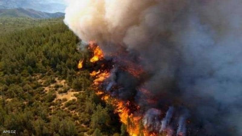 أزمة اشتعال الحرائق المجهولة في الجزائر تسفر عن 14 قتيل حتى الآن