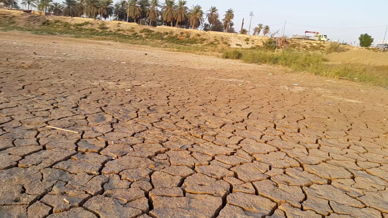 تضرر سبعة ملايين مواطن عراقي بسبب الجفاف