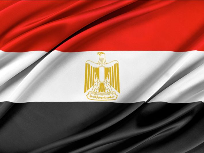 الهلال الأحمر المصري يرسل قافلة مساعدات عاجلة لغزة