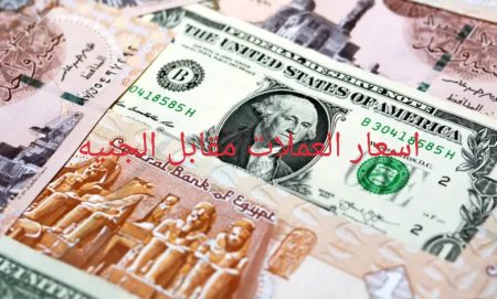 اسعار العملات مقابل الجنيه المصري في السوق السوداء والبنك المركزي استقرار ملحوظ