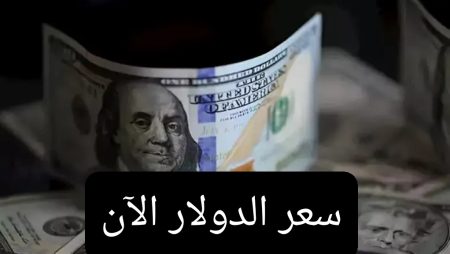 سعر الدولار الآن السبت 25 أكتوبر 2025 في مصر.. استقرار العملات أمام الجنيه