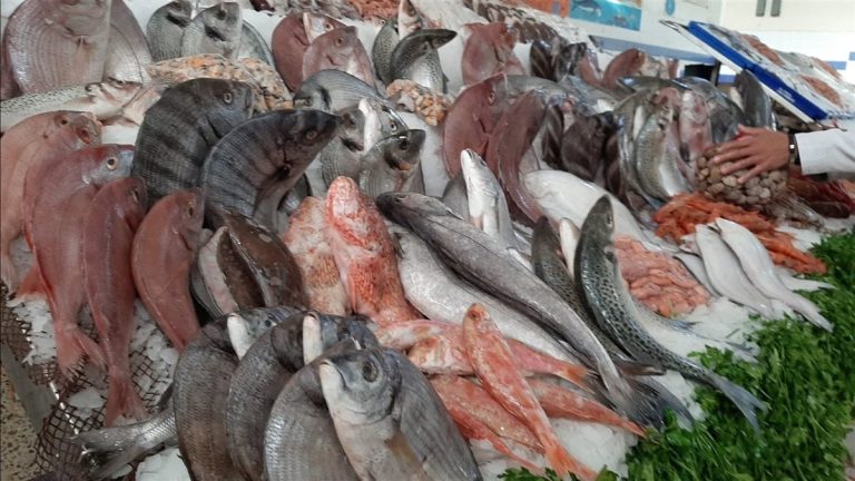أسعار الأسماك والجمبري اليوم الأربعاء 29 أكتوبر 2025 في الأسواق والسيارات المتنقلة أسعار الأسماك والجمبري اليوم