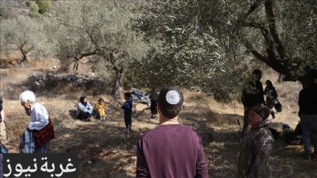 تصاعد الاعتداءات الاستيطانية في الضفة الغربية في غزة