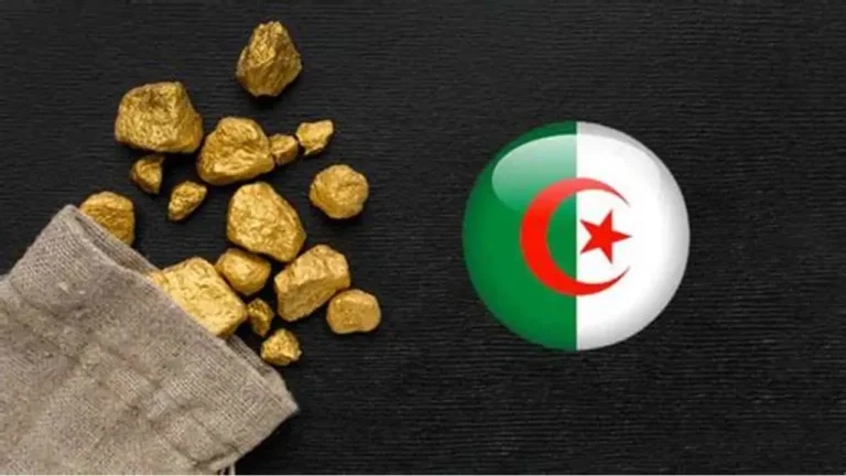 الذهب في الجزائر: أسعار تاريخية اليوم وتوجهات السوق أسعار الذهب في الجزائر