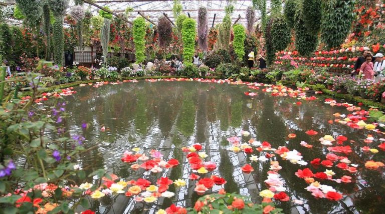 حديقة كيو في لندن