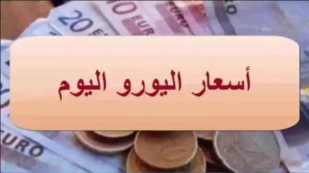 سعر اليورو اليوم الاثنين 2025/11/10 في السوق السوداء والبنوك.. 500 يورو بكام الآن
