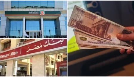 أعلى شهادات ادخار واستثمار في البنوك المصرية 2025.. عائد يصل إلى 100%