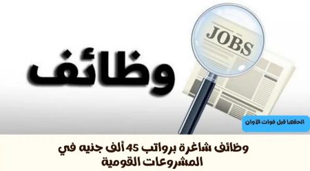 الحقها قبل ما تطير.. وظائف في المشروعات القومية برواتب 45 ألف جنيه