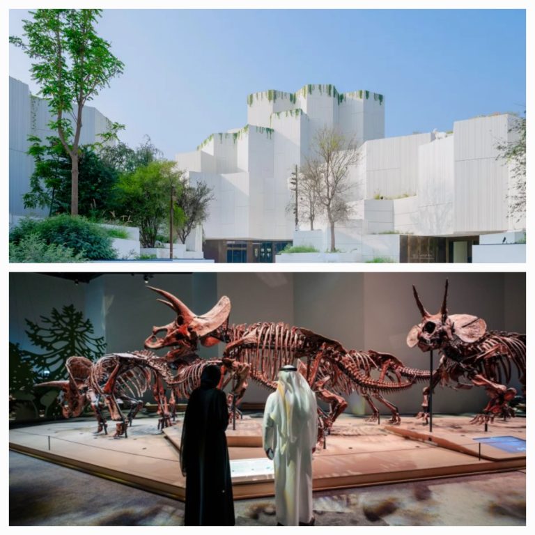 “أبوظبي تفتتح متحف التاريخ الطبيعي الأكبر”