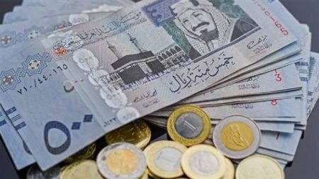الريال السعودي يواصل الارتفاع.. تعرف على أسعار الشراء والبيع في البنوك المصرية