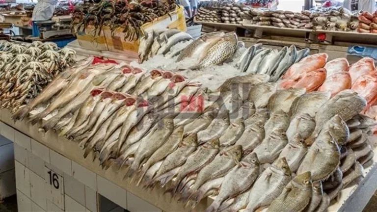 أسعار الأسماك اليوم