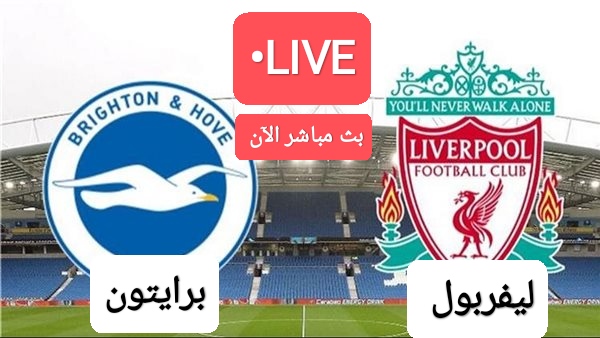 90 دقيقة نار.. مباراة ليفربول ضد برايتون الآن أنفيلد يشتعل مباراة ليفربول ضد برايتون