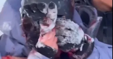 نمر ثلجي يهجم فجأة داخل منتزه سياحي شمال الصين والصورة تتحول لكابوس مرعب