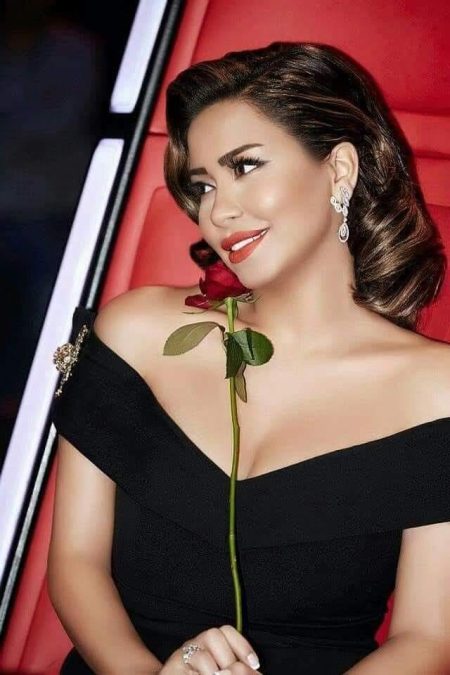 شيرين عبد الوهاب بين الأخبار المغلوطة والدعم الحقيقي