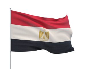 علم مصر