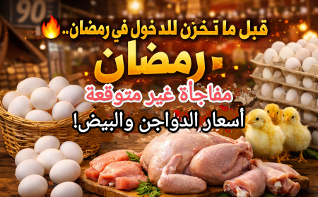 تخزني ولا تستني.. أسعار الدواجن والبيض وأول مفاجأة قبل شهر رمضان أسعار الدواجن والبيض