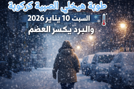 هتمطر تلج النهاردة ولا اي؟.. الطقس اليوم في مصر السبت 10 يناير برد قارس وشبورة كثيفة الطقس اليوم في مصر