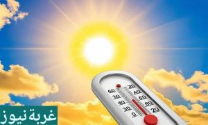 فبراير هذا العام يكسر التوقعات: خريطة الطقس في مصر 2026 توضح درجات الحرارة، نشاط الشبورة والرياح، وحالة الطقس في القاهرة، الدلتا، الصعيد والسواحل.