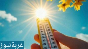 قبل الخروج من المنزل: طقس مصر الأحد 1 فبراير 2026، ارتفاع طفيف في درجات الحرارة، دفء نهاري وبرودة ليلية، رياح مثيرة للأتربة وشبورة مائية محتملة