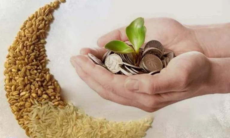 زكاة الفطر لعام 1447