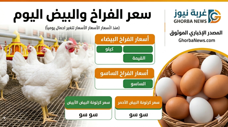 سعر الفراخ اليوم