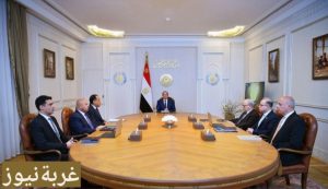دعم الاستثمار في مصر 2026: السيسي يعلن استراتيجية تحويل مصر لمركز صناعي إقليمي ويوجه بإزالة العقبات – 25 مارس 2026