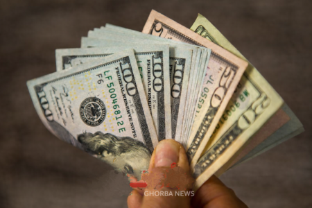سعر الدولار اليوم