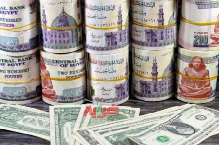 سعر الدولار اليوم