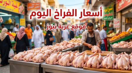 الحق اشتري دلوقتي.. اسعار الفراخ اليوم السبت 25 أبريل تتراجع والساسو يخسر كام جنيه