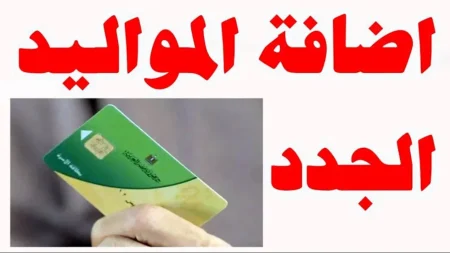 إضافة المواليد على بطاقة التموين 2026.. الشروط والفئات المستحقة وخطوات التسجيل دليل شامل