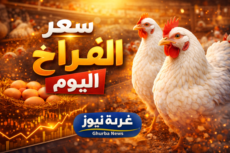 سعر الفراخ اليوم.. اعرف الكيلو وصل كام وكرتونة البيض بكام الآن