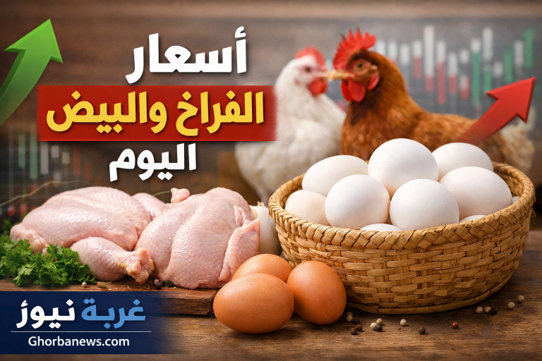 اسعار الدواجن اليوم