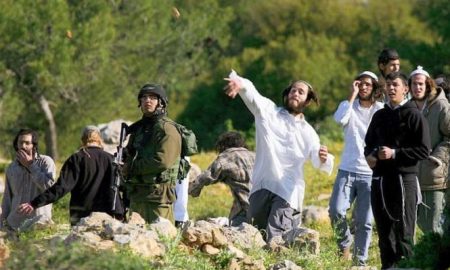 الضفة الغربية تشتعل.. مستوطنون يهاجمون تجمعًا فلسطينيًا وسط تصعيد خطير!