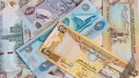 تراجع الدرهم الإماراتي يهز سوق العملات في مصر بشكل غير متوقع