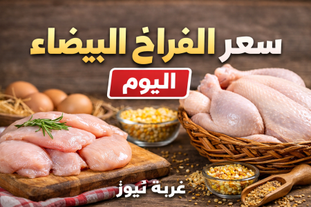 البلدي والساسو بكام.. سعر الفراخ البيضاء اليوم السبت 16 مايو 2026 في المزارع وبورصة الدواجن