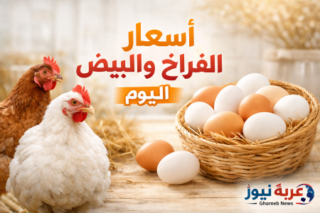 بكام النهارده يا ترى؟ أسعار الفراخ والبيض اليوم الجمعة 1 مايو 2026 في مصر بعد الاستقرار الأخير