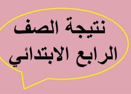 نتيجة الصف الرابع الابتدائي 2026 الترم الثاني.. خطوات الاستعلام ونظام التقييم بالألوان