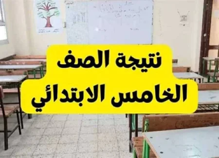 نتيجة خامسة ابتدائي الجيزة 2026 تقترب من الظهور.. خطوات الاستعلام والموعد المتوقع