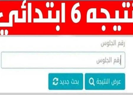 نتيجة الصف السادس الابتدائي 2026 بالجيزة على الأبواب والرابط الرسمي للاستعلام بالرقم القومي
