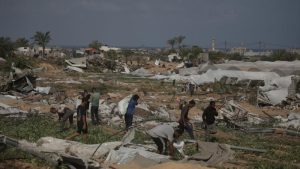 تقييد المياه في الأغوار يفاقم معاناة المزارعين الفلسطينيين