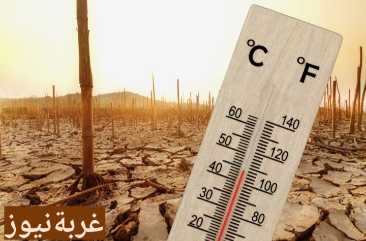 ظاهرة النينيو 2026 تعود بقوة: كيف تهدد الزراعة المصرية والأمن الغذائي ونهر النيل؟