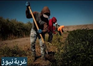 ظاهرة النينيو 2026 تضرب العالم مجددآ خبراء يكشفون المخاطر على المياه والأمن الغذائي؟