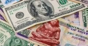 سعر الدولار اليوم