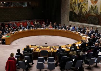 الولايات المتحدة : إدانة الفلسطينينن لإسرائيل بالأمم المتحدة لن يساعد في حل الدولتين