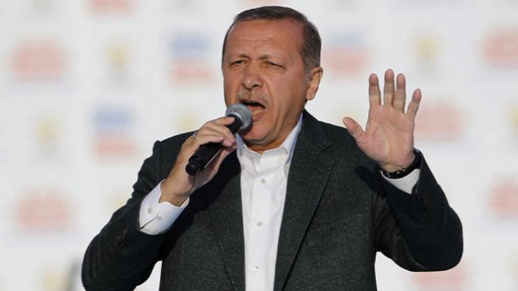تركيا: القبض على 12 أكاديميًا معارضًا لـ”أردوغان”