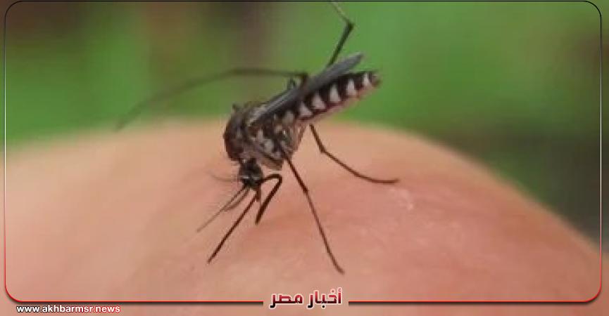 عودة الملاريا في زيمبابوي بعد وقف التمويل الأمريكي