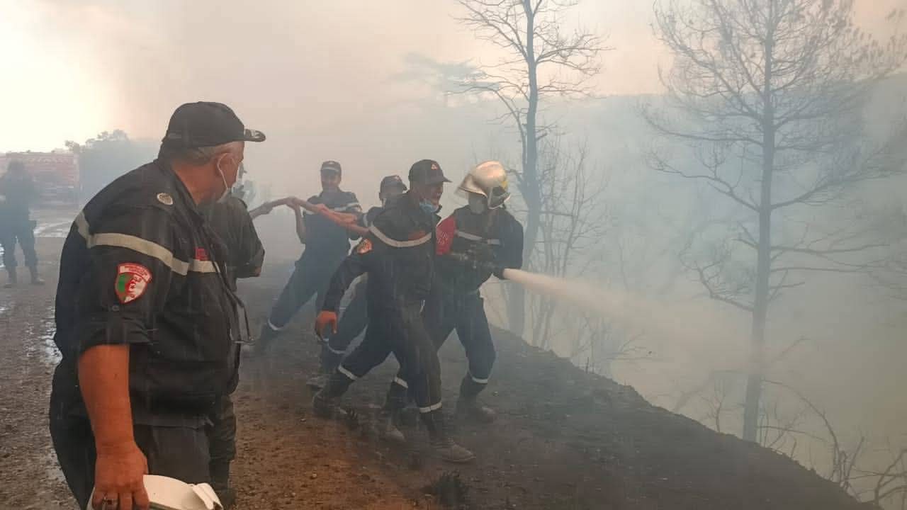 حريق الشريعة بالبليدة الجزائر يلتهم الغابات والسلطات تعلن السيطرة