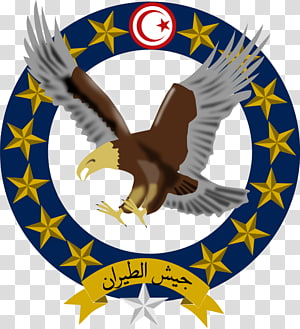 قيس سعيد يصدر قرار عاجل بتحديث الأسطول الجوي